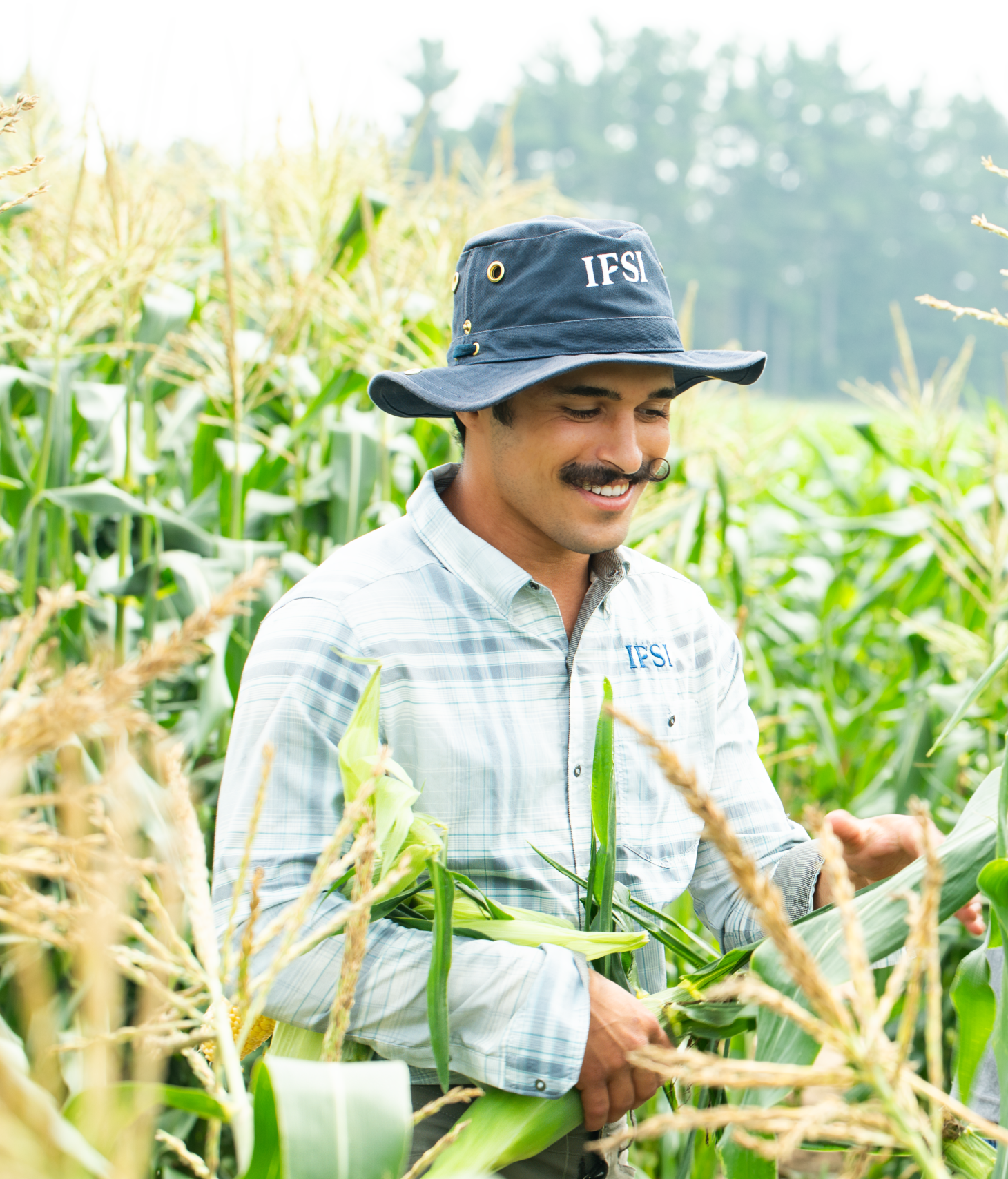 IFSI Job Opportunities